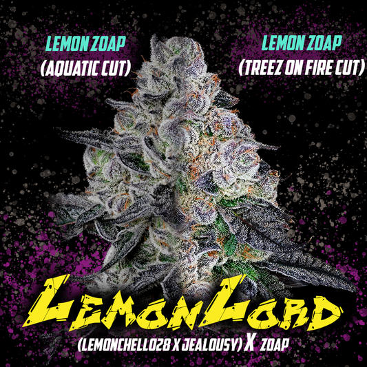 LEMONLORD